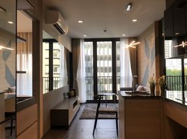 2 Schlafzimmer Wohnung zu vermieten im Quattro By Sansiri, Khlong Tan Nuea