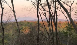 N/A Grundstück zu verkaufen in Mueang Chang, Nan 