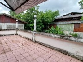  Land for sale in Pa Tan, Mueang Chiang Mai, Pa Tan
