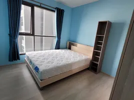 1 Schlafzimmer Wohnung zu verkaufen im Life Sukhumvit 48, Phra Khanong