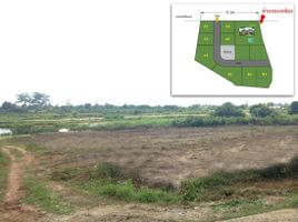  Land for sale in Ubon Ratchathani, Chaeramae, Mueang Ubon Ratchathani, Ubon Ratchathani