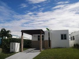 2 Schlafzimmer Haus zu verkaufen in Anton, Cocle, Rio Hato, Anton, Cocle, Panama