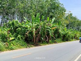  Grundstück zu verkaufen in Thalang, Phuket, Thep Krasattri