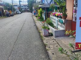  Grundstück zu verkaufen in Pai, Mae Hong Son, Wiang Tai, Pai