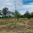 3 Bedroom House for sale in Guacimo Limon, Guacimo, Limon