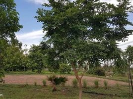  Land for sale in Roi Et, Khon Kaen, Mueang Roi Et, Roi Et