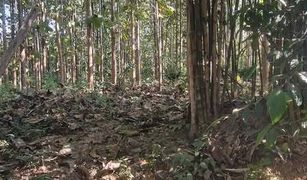 N/A Land for sale in Pong Tao, Lampang 