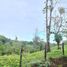  Land for sale in Sarapiqui Heredia, Sarapiqui