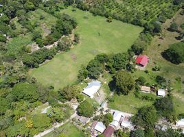  Land for sale in Jutiapa, Atlantida, Jutiapa