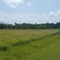  Land for sale in San Carlos, Panama Oeste, San Jose, San Carlos