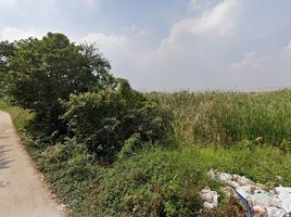  Land for sale in Bang Kaeo, Bang Phli, Bang Kaeo