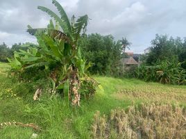  Grundstück zu verkaufen in Badung, Bali, Canggu