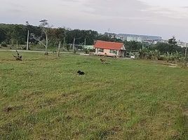  Land for sale in Thalang, Phuket, Sakhu, Thalang