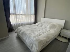 1 Bedroom Condo for rent at Fuse Sathorn-Taksin, Bang Lamphu Lang, Khlong San, Bangkok
