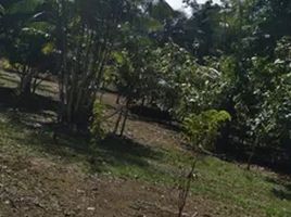  Grundstück zu verkaufen in Presidente Figueiredo, Amazonas, Presidente Figueiredo, Amazonas, Brasilien