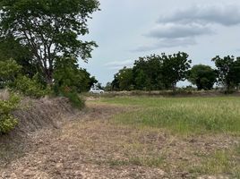  Land for sale in Non Thai, Nakhon Ratchasima, Non Thai, Non Thai