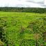  Grundstück zu verkaufen in Silves, Amazonas, Silves