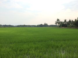  Grundstück zu verkaufen in Mueang Kamphaeng Phet, Kamphaeng Phet, Songtham