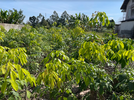  Land for sale in Takua Thung, Phangnga, Khok Kloi, Takua Thung