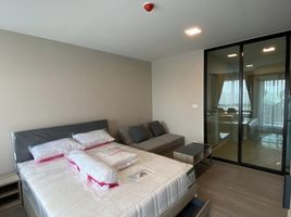 Studio Wohnung zu verkaufen im Dcondo Hideaway-Rangsit, Khlong Nueng