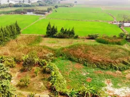  Land for sale in Ban Khong, Photharam, Ban Khong