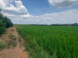  Grundstück zu verkaufen in Photharam, Ratchaburi, Tao Pun