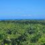  Land for sale in Sosua, Puerto Plata, Sosua