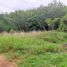  Land for sale in Thalang Victory Monument, Thep Krasattri, Thep Krasattri