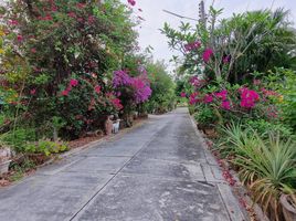  Land for sale in Samet, Mueang Chon Buri, Samet