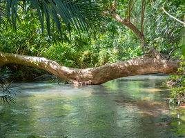  Land for sale in Ao Nang, Krabi, Ao Nang, Mueang Krabi