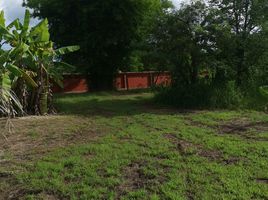  Land for sale in Mi Chai, Mueang Nong Khai, Mi Chai