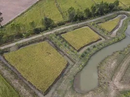  Land for sale in Buri Ram, Khu Mueang, Khu Mueang, Buri Ram
