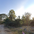  Land for sale in Chiang Mai, Ban Klang, San Pa Tong, Chiang Mai