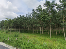  Land for sale in Phuket, Thep Krasattri, Thalang, Phuket