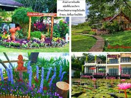 15 Bedroom Hotel for sale in Tha Muang, Kanchanaburi, Rang Sali, Tha Muang