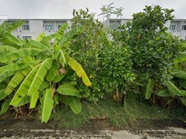  Grundstück zu verkaufen in Bueng Kum, Bangkok, Khlong Kum, Bueng Kum