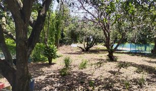 N/A Land for sale in Phan Thong, Pattaya 