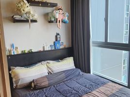 1 Schlafzimmer Appartement zu verkaufen im Ideo Mobi Sukhumvit Eastgate, Bang Na