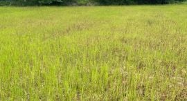 ยูนิตที่เหลืออยู่ในโครงการ บ้านดีใจ เกาะคา