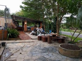 3 Schlafzimmer Haus zu verkaufen in Pathio, Chumphon, Saphli, Pathio, Chumphon