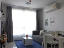 1 Schlafzimmer Appartement zu verkaufen im D Vieng Santitham, Chang Phueak