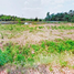  Land for sale in Pakasai, Nuea Khlong, Pakasai