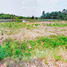  Land for sale in Nuea Khlong, Krabi, Pakasai, Nuea Khlong