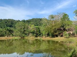  Land for sale in Phangnga, Bang Sai, Takua Pa, Phangnga