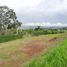  Land for sale in Alajuela, Naranjo, Alajuela