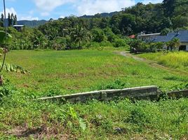  Grundstück zu verkaufen in Kathu, Phuket, Kamala, Kathu