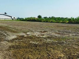  Land for sale in Rai Khing, Sam Phran, Rai Khing