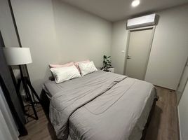 2 Schlafzimmer Appartement zu vermieten im The BASE Sukhumvit 50, Phra Khanong