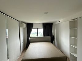 1 Bedroom Condo for rent at The Rich Rama 9 - Srinakarin, Suan Luang, Suan Luang, Bangkok