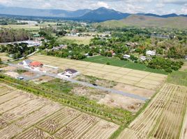  Land for sale in San Kamphaeng, Chiang Mai, Chae Chang, San Kamphaeng